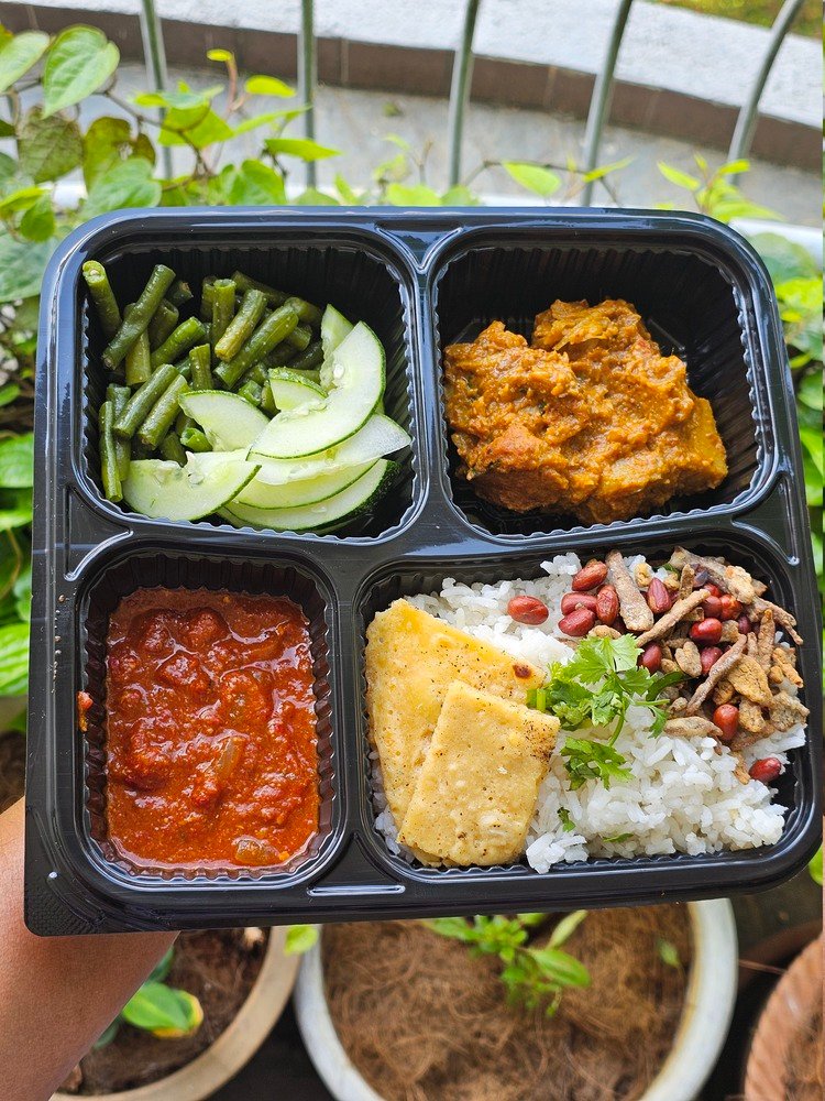Bento Box 1